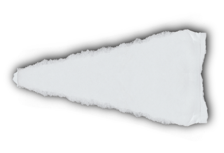 Previous image